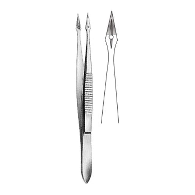 Splinter Forceps – Medspine International